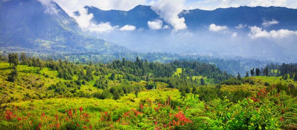 インドネジア インドネジア - Sputnik 日本