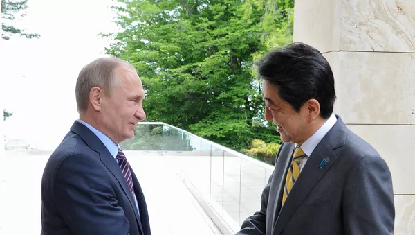 12月のプーチン・安倍会談は平和条約締結の「最後のチャンス」？ - Sputnik 日本