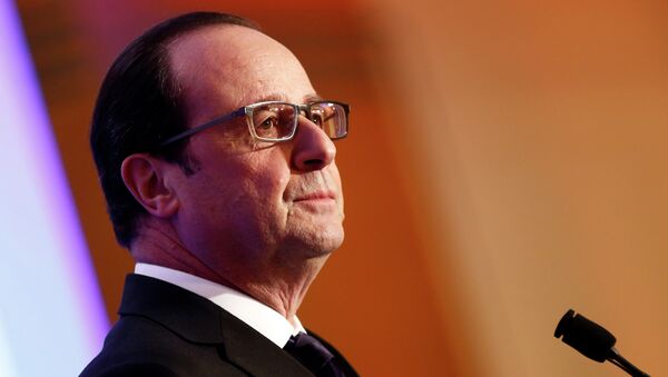 仏大統領、対露制裁を後悔、関係の正常化に期待 - Sputnik 日本