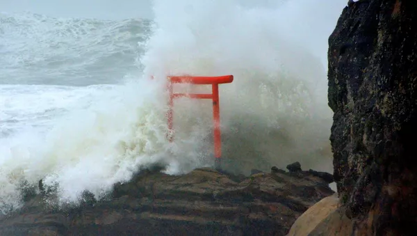 台風（アーカイブ写真） - Sputnik 日本
