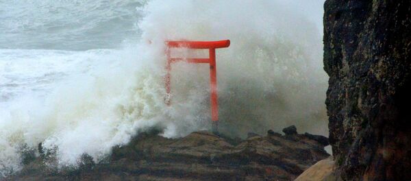 台風 - Sputnik 日本