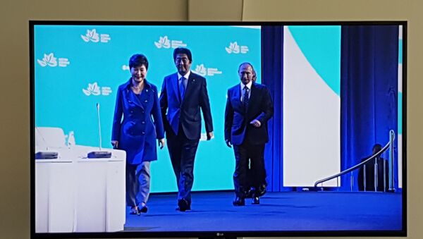 露日韓首脳「極東開発」会合に出席 - Sputnik 日本
