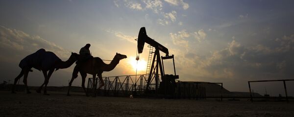 ブルームバーグ：増産凍結のOPEC協議は延期 - Sputnik 日本