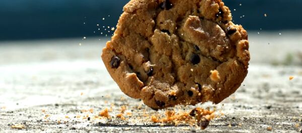 学者たち 落ちた食べ物の「5秒ルール」を否定 学者たち 落ちた食べ物の「5秒ルール」を否定 - Sputnik 日本