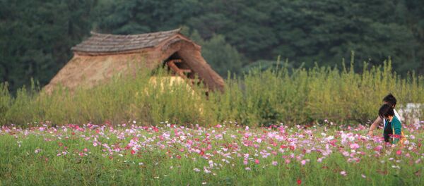 埼玉県 埼玉県 - Sputnik 日本