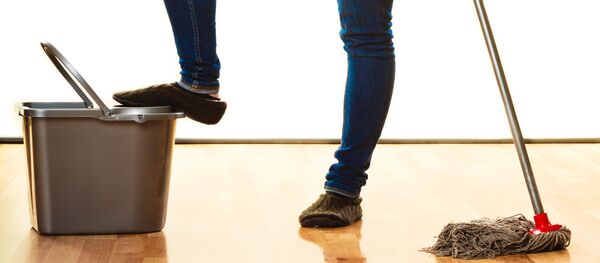 家庭の埃は不妊とガンを引き起こす 家庭の埃は不妊とガンを引き起こす - Sputnik 日本