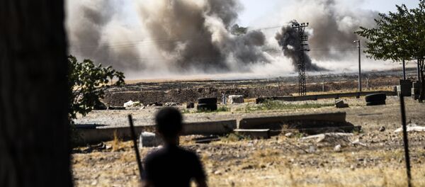 デンマーク デリゾールでのシリア軍に対する攻撃に参加したことを認める デンマーク デリゾールでのシリア軍に対する攻撃に参加したことを認める - Sputnik 日本