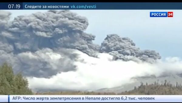 カルブコ火山　再び噴火 - Sputnik 日本