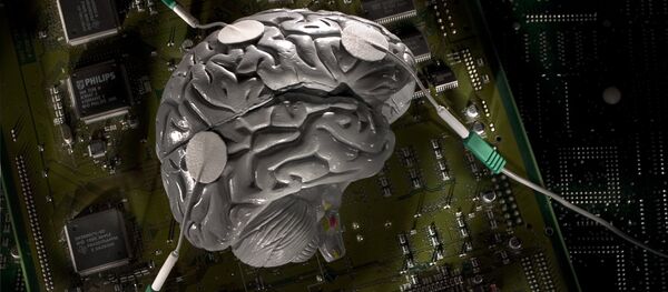 人間の脳　初めてインターネットに接続 - Sputnik 日本