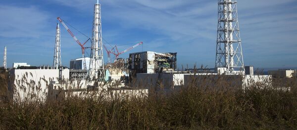 福島第一 - Sputnik 日本