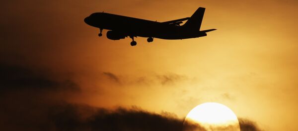 メキシコで飛行機から3人が投げ出される メキシコで飛行機から3人が投げ出される - Sputnik 日本