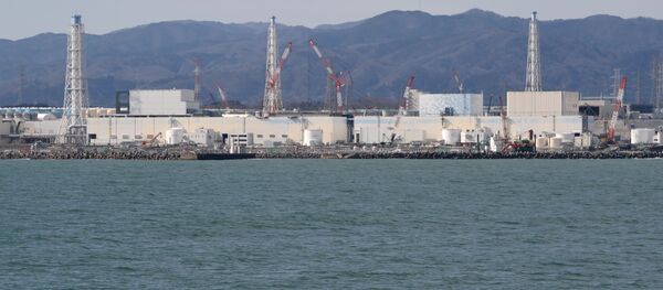 福島 福島 - Sputnik 日本