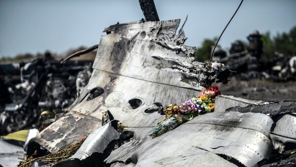 マレーシア機MH１７便墜落、国際事故原因究明委員会の報告、生中継 - Sputnik 日本