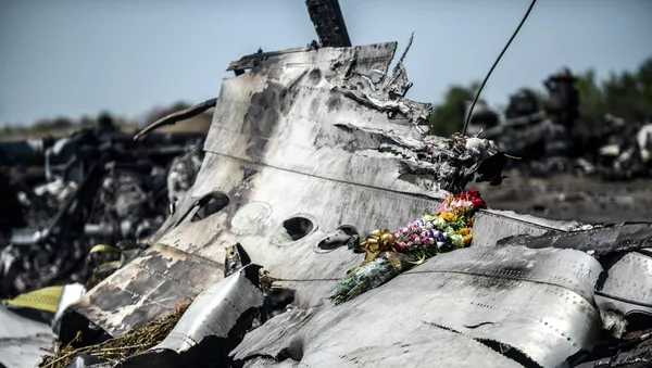 マレーシア機MH１７便墜落、国際事故原因究明委員会の報告、生中継 - Sputnik 日本