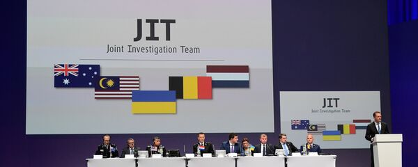 マレー機MH17便ウクライナ墜落原因究明委員会の会見、主な総括 マレー機MH17便ウクライナ墜落原因究明委員会の会見、主な総括 - Sputnik 日本