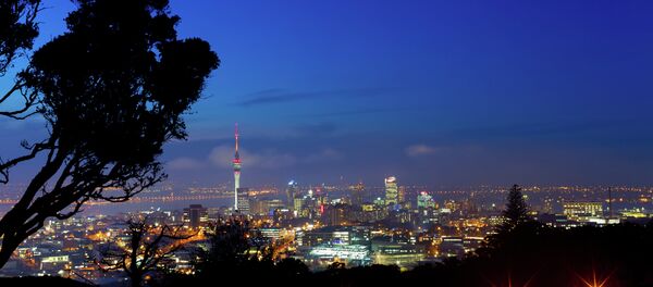 ニュージーランド沖でマグニチュード６．０の地震 - Sputnik 日本