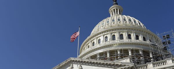 米国旗 米国旗 - Sputnik 日本
