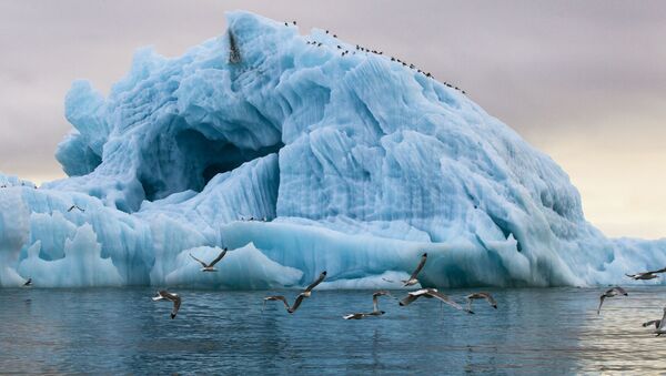 マンハッタンの大きさの氷河が南極から分離　【写真】 - Sputnik 日本