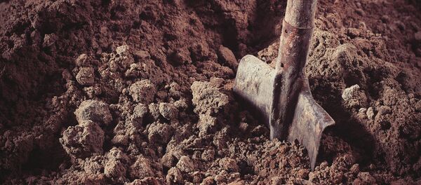 インド　生きたまま砂に埋められた男性、自力で脱出 - Sputnik 日本