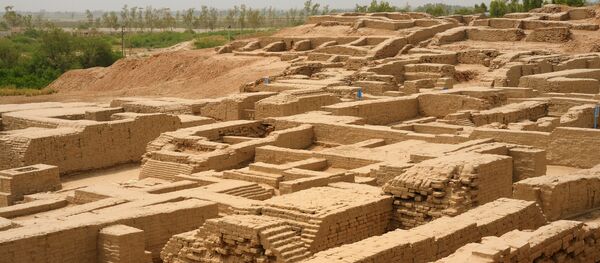 古代遺跡の最良の保存方法は… モヘンジョダロ埋め戻しが決定【写真】 古代遺跡の最良の保存方法は… モヘンジョダロ埋め戻しが決定【写真】 - Sputnik 日本