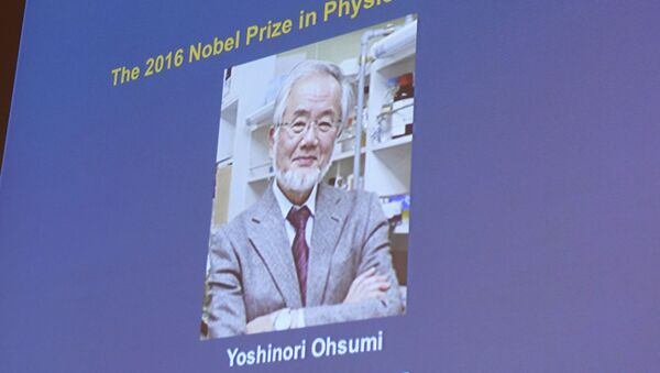 2016年ノーベル生理学、医学賞、日本人学者が獲得 - Sputnik 日本