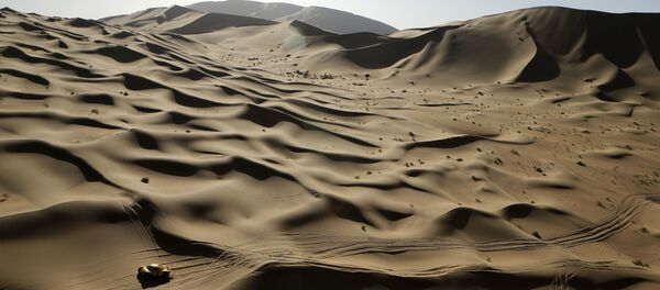 日本考古学者チームがゴビ砂漠で古代の巨大生物の跡を発見 日本考古学者チームがゴビ砂漠で古代の巨大生物の跡を発見 - Sputnik 日本