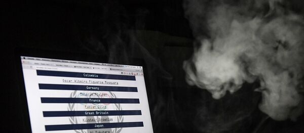 2016年ロシア特務機関に7千万回のサイバー攻撃 - Sputnik 日本