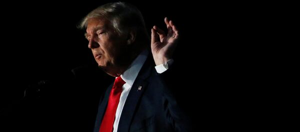 メディアがトランプ氏を引きずり落とす計画を入手 - Sputnik 日本