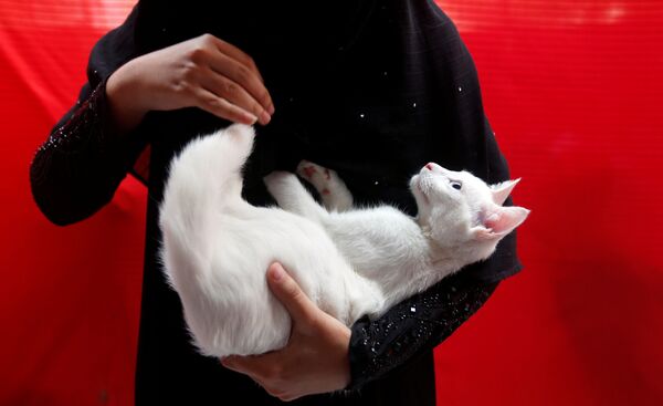 白猫を抱える女性 - Sputnik 日本