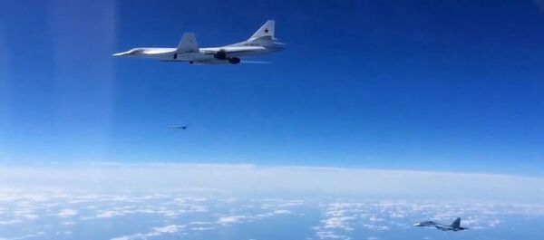 Tu-160戦略爆撃機 - Sputnik 日本