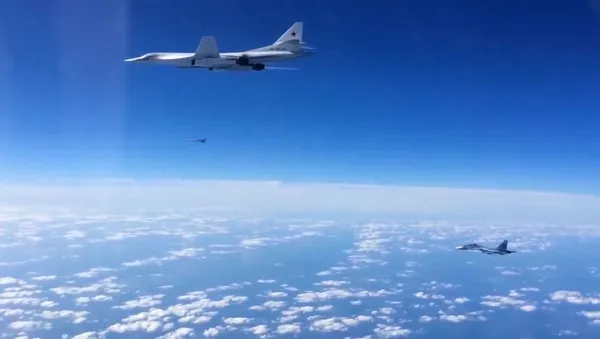 Tu-160戦略爆撃機 - Sputnik 日本
