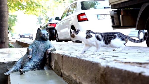 イスタンブールの猫の銅像、元の場所に戻される - Sputnik 日本