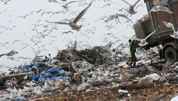 ゴミ捨ての仕方：ロシアと日本の違いはいかに？ - Sputnik 日本