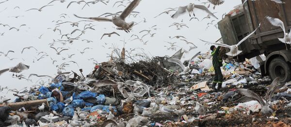 ゴミ捨ての仕方：ロシアと日本の違いはいかに？ - Sputnik 日本