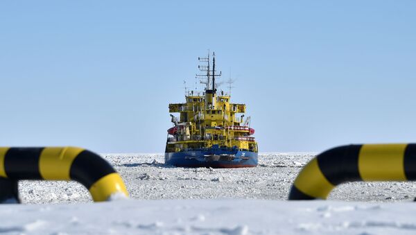 日本　北極海でのロシアのガスプロジェクトへの参画を検討 - Sputnik 日本
