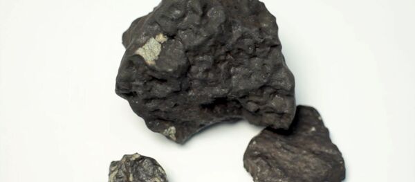 隕石の残骸に地球外生命体の痕跡発見 - Sputnik 日本