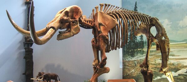 ミシガン州でマストドンの遺骸が見つかる - Sputnik 日本