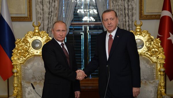 プーチン大統領、将来のロシアとトルコの関係を語る - Sputnik 日本