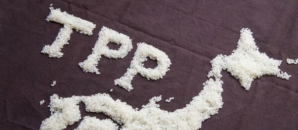 ＴＰＰ承認案と関連法案が衆院本会議で可決 - Sputnik 日本