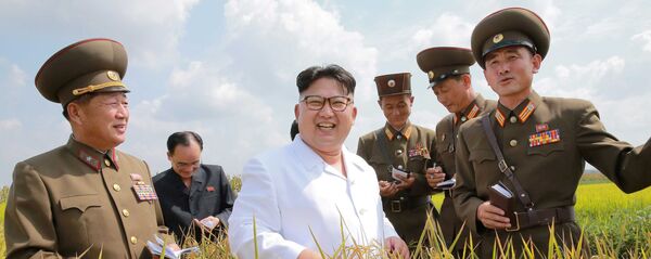 金正恩氏 金正恩氏 - Sputnik 日本