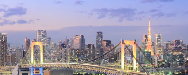 東京 東京 - Sputnik 日本