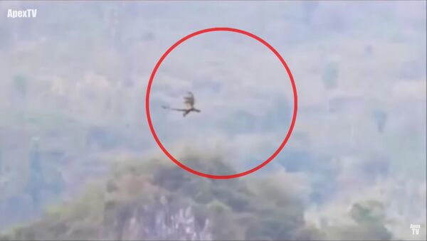 空飛ぶドラゴンの動画が撮られる、中国 - Sputnik 日本
