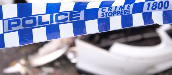 豪警察 - Sputnik 日本