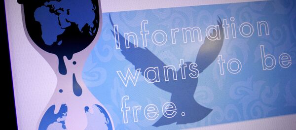 ウィキリークス クリントン氏はカタールとサウジアラビアによるテロリスト支援を知っていた ウィキリークス クリントン氏はカタールとサウジアラビアによるテロリスト支援を知っていた - Sputnik 日本