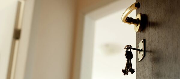 「世界一礼儀正しい猫」がSNSのスターに【動画】 「世界一礼儀正しい猫」がSNSのスターに【動画】 - Sputnik 日本