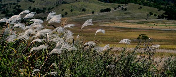 日本企業、ロシア沿海州に温室建設へ 日本企業、ロシア沿海州に温室建設へ - Sputnik 日本