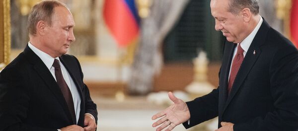 クレムリン、ロシア・トルコ首脳会談の幅広い議題を発表 - Sputnik 日本