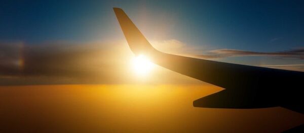 世界で最も時間厳守の航空会社が発表される 世界で最も時間厳守の航空会社が発表される - Sputnik 日本