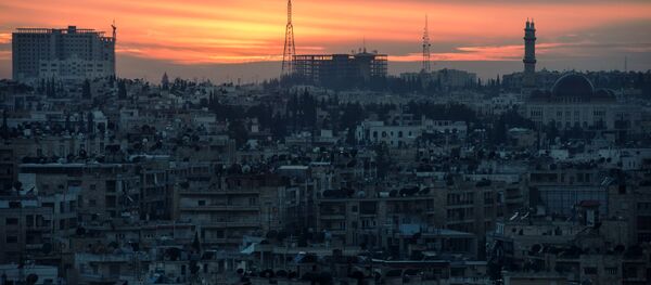 アレッポ アレッポ - Sputnik 日本