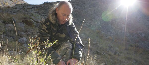 迷彩服のプーチン大統領 - Sputnik 日本